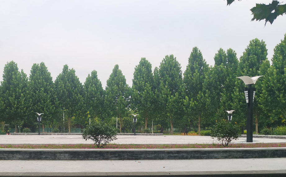 景觀燈，公園景觀燈.jpg